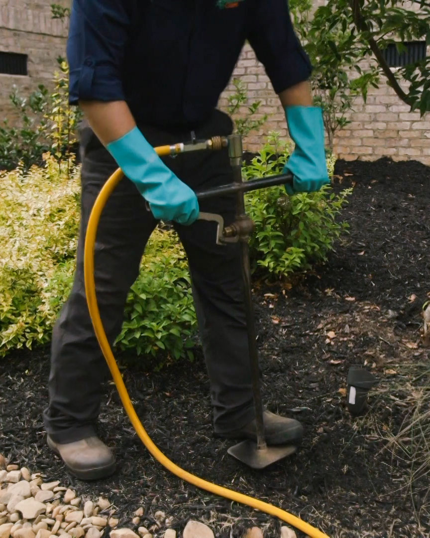 Greenville SC Shrub and Tree Care