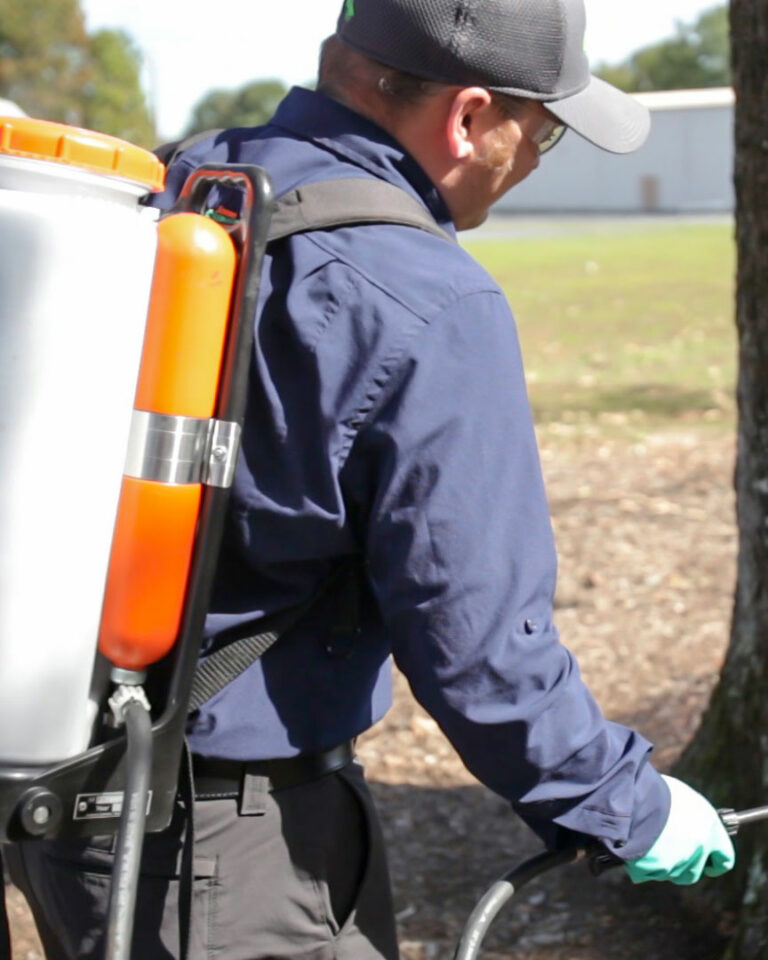 Spartanburg SC Shrub and Tree Care